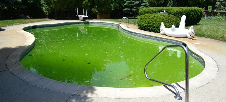 Recuperación de aguas verdes en piscinas